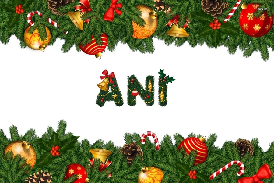 Ani