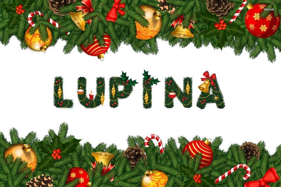 Lupina